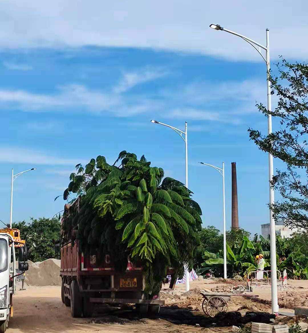 MK体育在线注册,MK体育（中国）助力东莞洪梅万科星城道路亮化工程